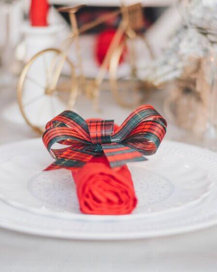 red and blue ribbon on white round plate